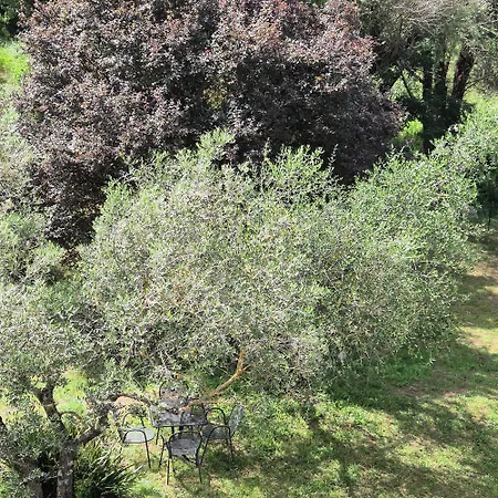 Apartment La Rosa Rossa San Casciano dei Bagni